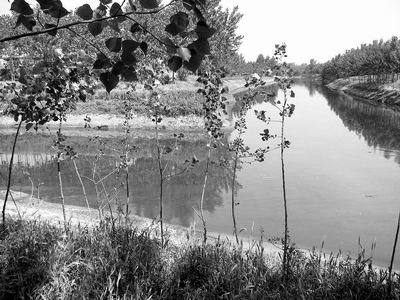0608B2002.jpg