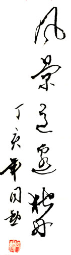 风景独好