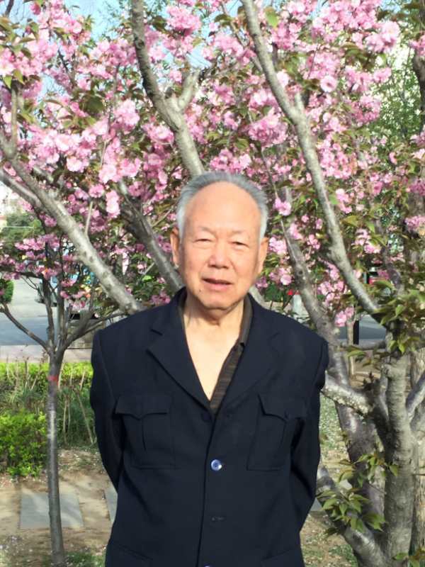 岳武佐12