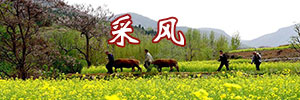 采风