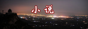 小说